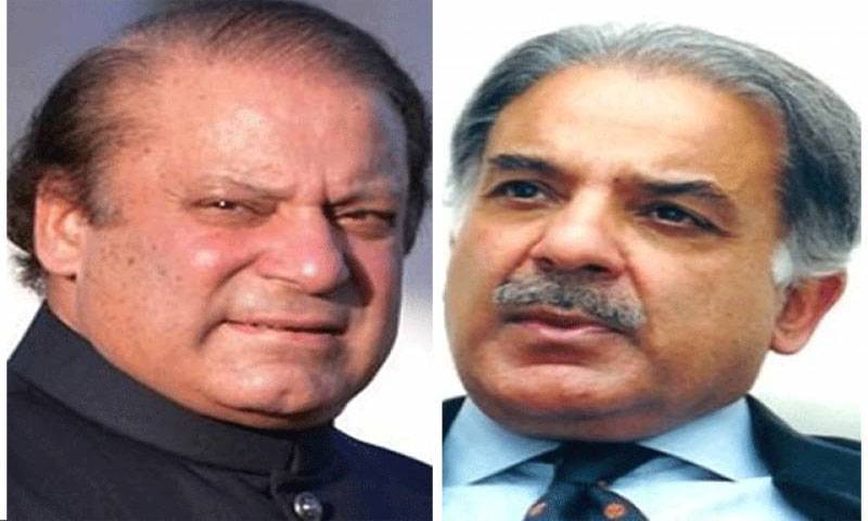 Petition seeking PM Nawaz, CM Shehbaz’s disqualification rejected  
