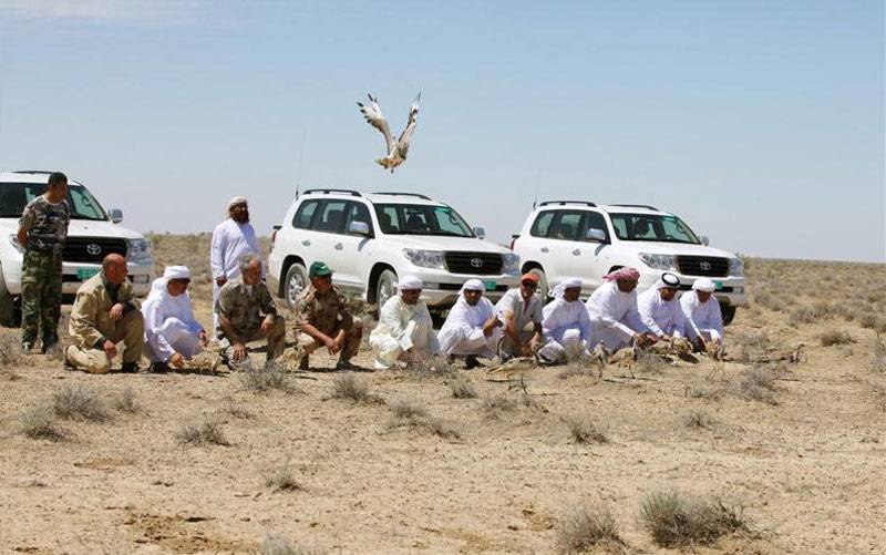 Arab houbara bustard hunters’ convoy attacked in Panjgur