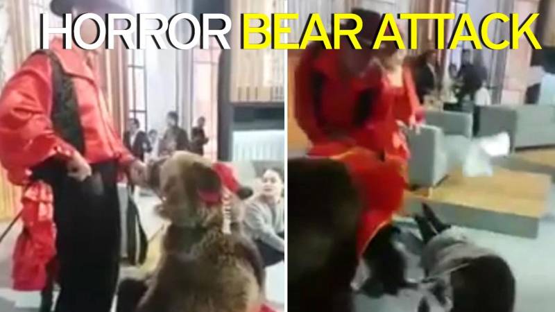 Watch: Bear attacks female host in live TV show