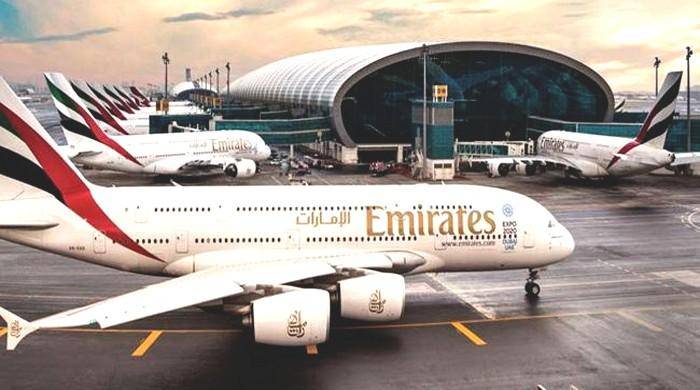 Snake found on Dubai-bound Emirates flight