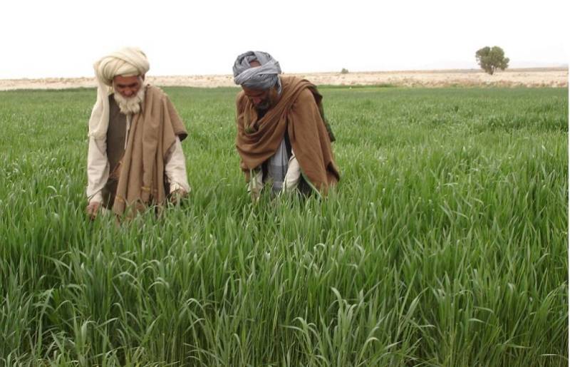 Govt withdraws decision to omit subsidy on fertilizer