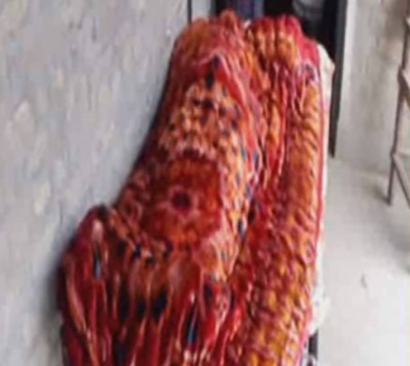 Woman burnt alive in Mansehra