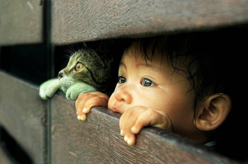 Pictures that will definitely grab your attention
