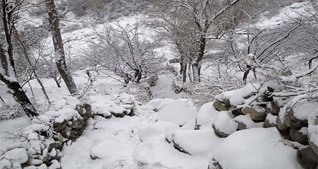 Avalanche kills over 14 people in Chitral