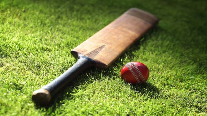 A thrown stump by angry batsman kills fielder