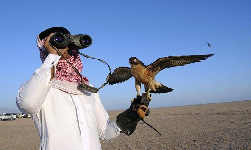 Houbara bustard removed from protected bird list