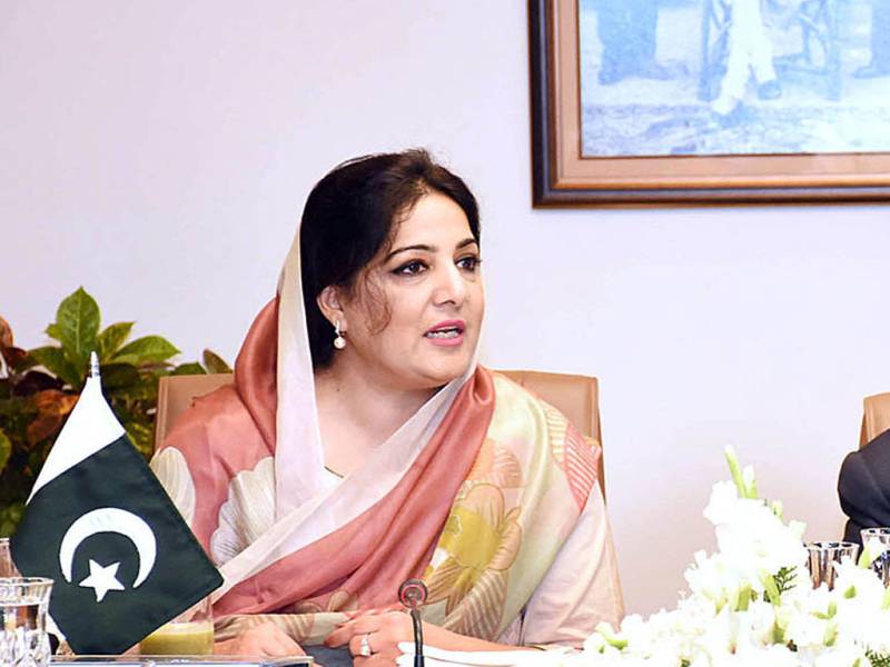 PMLN Minister Snatches cell phone, harasses journalist