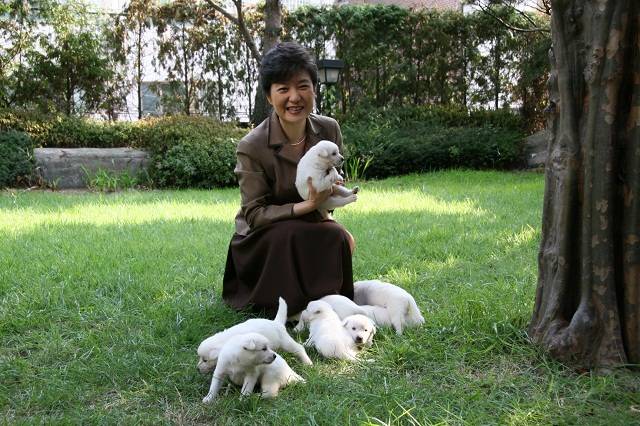 S. Korea's ex-president hounded over dumped dogs