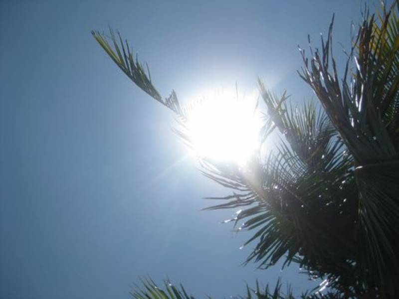 Hot, dry weather likely to prevail in country: Met 