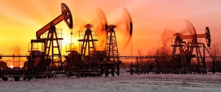 Oil prices fall stalls despite supply glut