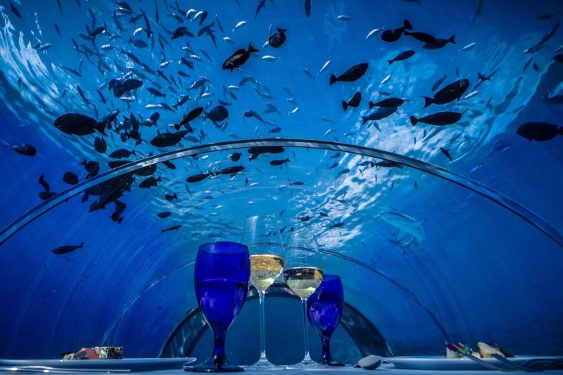 World's biggest under water restaurant