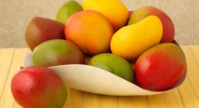 Mango export to increase this year