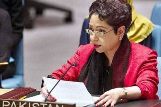 Safe havens of Taliban exist inside Afghanistan not outside: Maleeha Lodhi