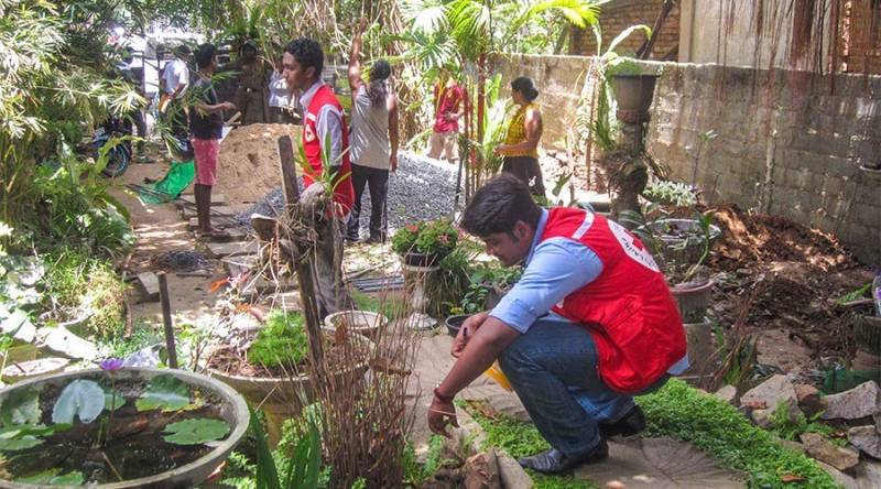 Worst-ever dengue outbreak kills 225 in Sri Lanka