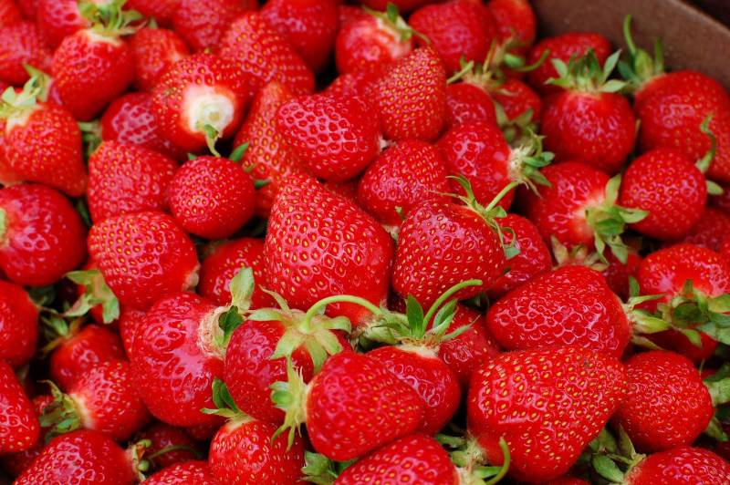 Health Benefits of Strawberries