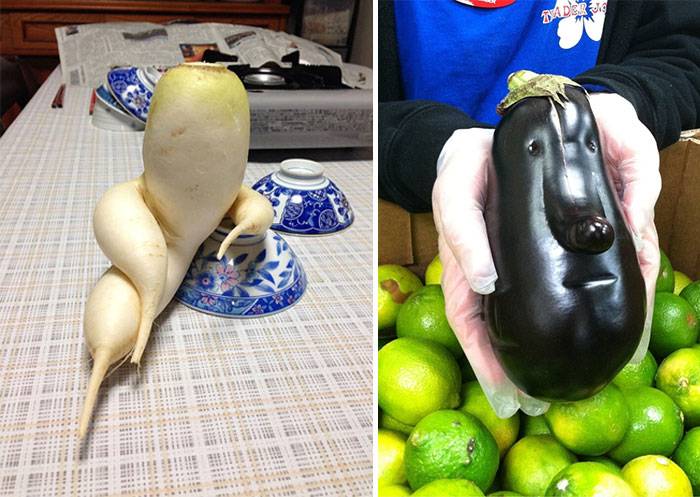 Strangely shaped fruits & vegetables