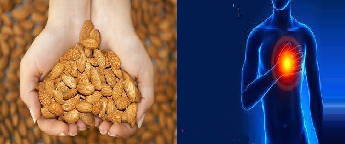 Almonds, a source of 'good' cholesterol to prevent heart disease