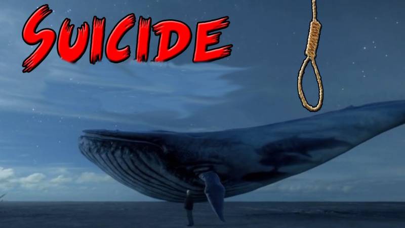 ‘Blue Whale’ drives 15-year-old to commit suicide