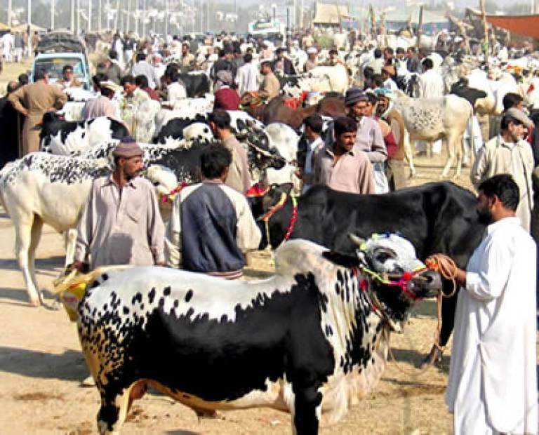2nd day of Eid-ul-Azha celebrated across country