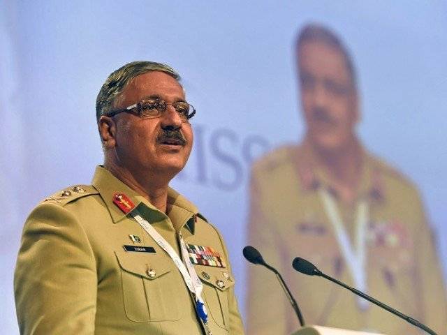 Pakistan fought biggest war against terrorism: CJCSC Zubair Mahmood