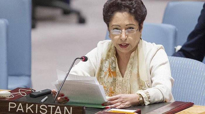 Maleeha Lodhi criticizes India for ‘mass blinding’ in Kashmir