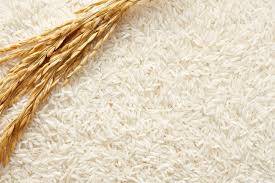 Rice exporters demand zero-rated sales tax status