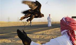 Bahraini king, again in Pakistan to hunt houbara bustard