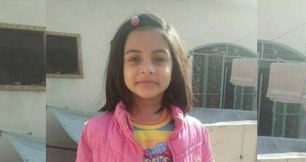 Zainab murder case: Police, govt should accept their negligence, observes LHC