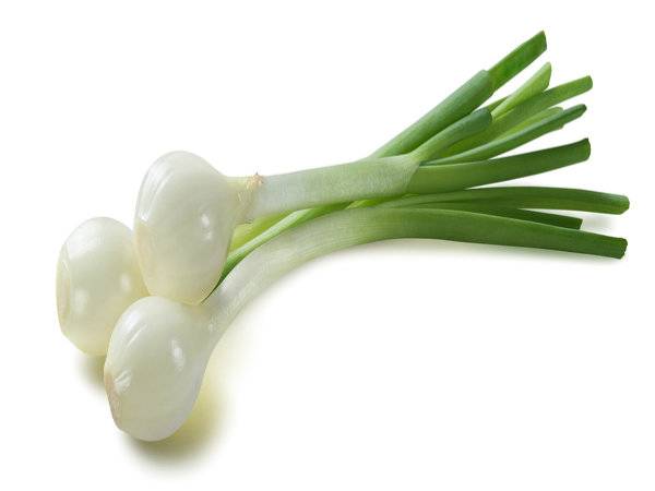 Benefits of consuming Spring onion