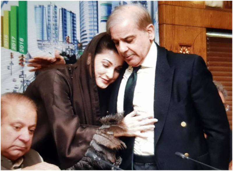 Maryam congratulates Shahbaz after his appointment as PML-N president