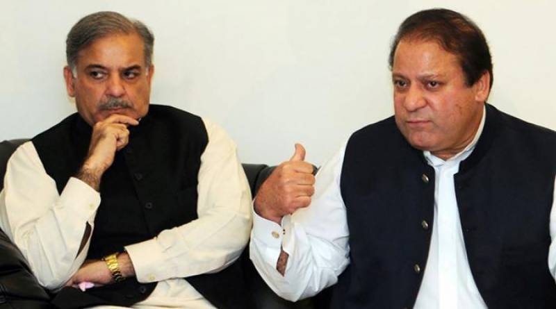 Shehbaz Sharif appointed as PML-N interim president