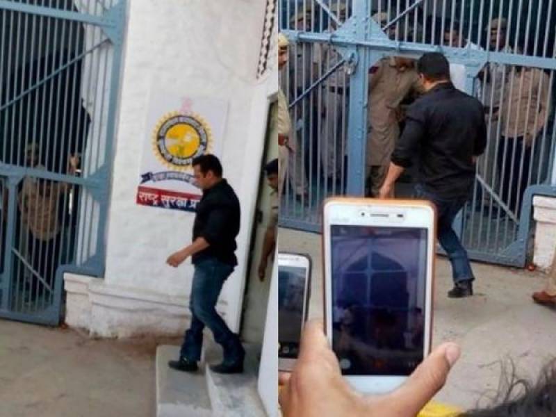 Blackbuck Verdict: Jodhpur Court grants bail to Salman Khan