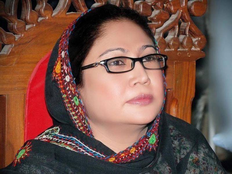 Faryal Talpur challenges FIA's interim charge-sheet in money laundering case