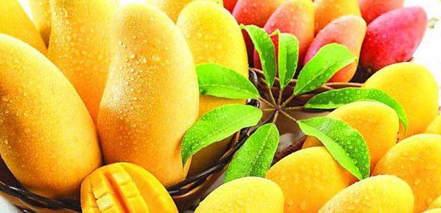 ICCI arranges three-day Mango Festival 2018