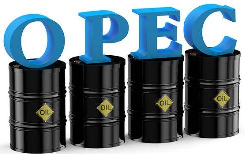 OPEC raises US oil supply outlook