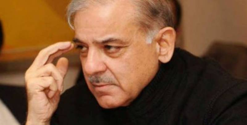Shehbaz says opposition endorses his name as PAC chairman