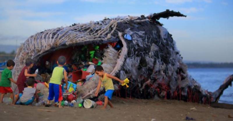 Dead whale washed up in Philippines had 40kg of plastic in stomach