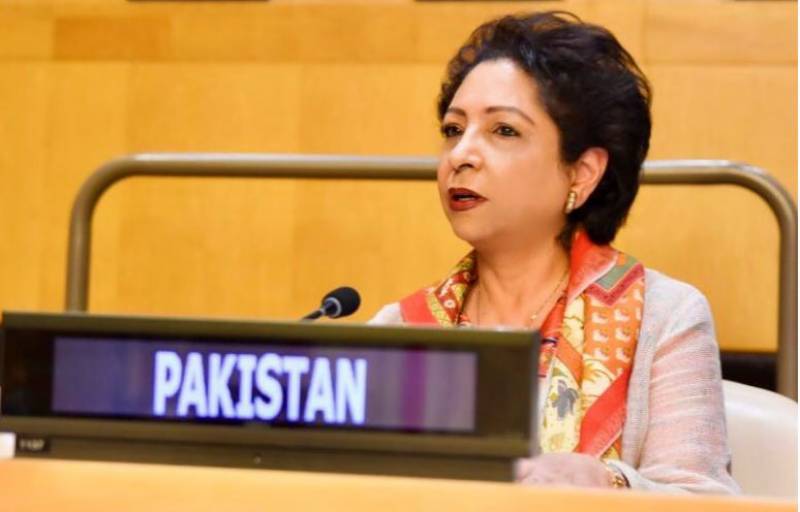 Pakistan calls for UN action to combat Islamophobia, hate speech