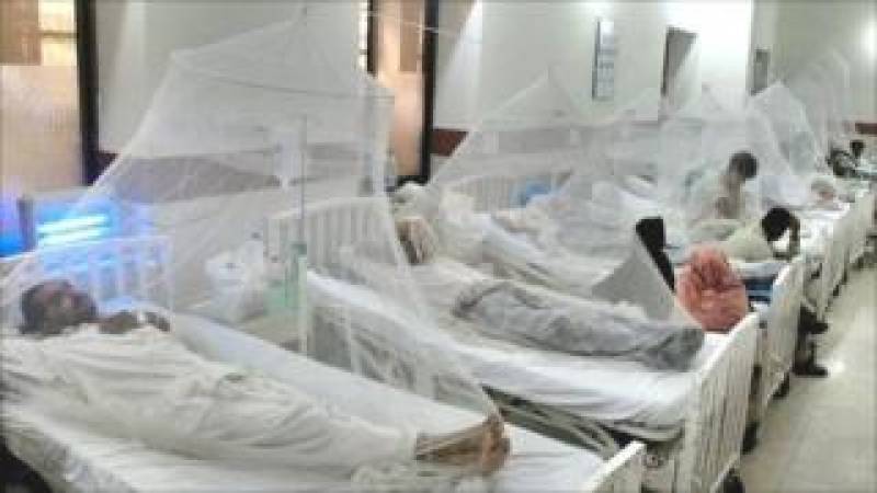 Dengue victim count may soar as over 10,000 test positive