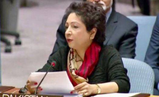 Pakistan urges world community to protect Kashmiris particularly children in IOK 
