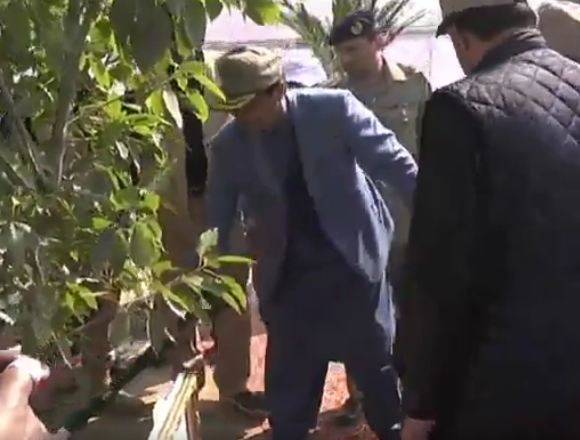 PM Imran spring tree plantation campaign in Mianwali