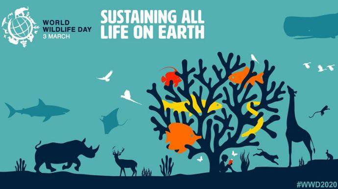 World Wildlife Day 2020 observed 