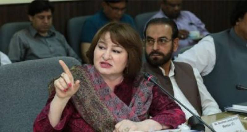 Nausheen Javaid Amjad appointed as FBR chief