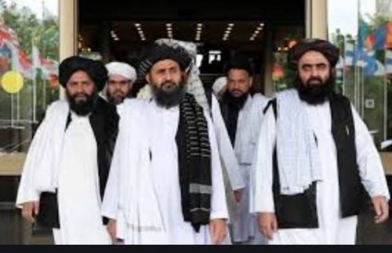 Taliban shadow govt prepares for takeover