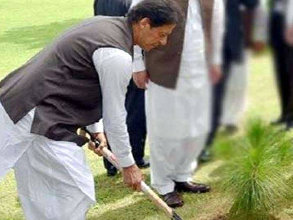 PM Imran to launch Monsoon Tree Plantation campaign today
