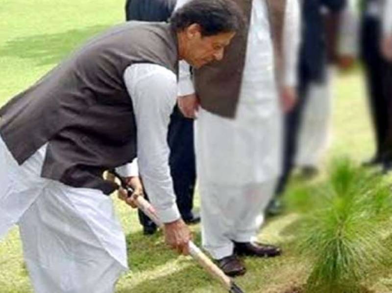 PM Imran urges Pakistanis to join tree plantation campaign