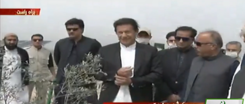 PM Imran launches olive plantation drive in Nowshera