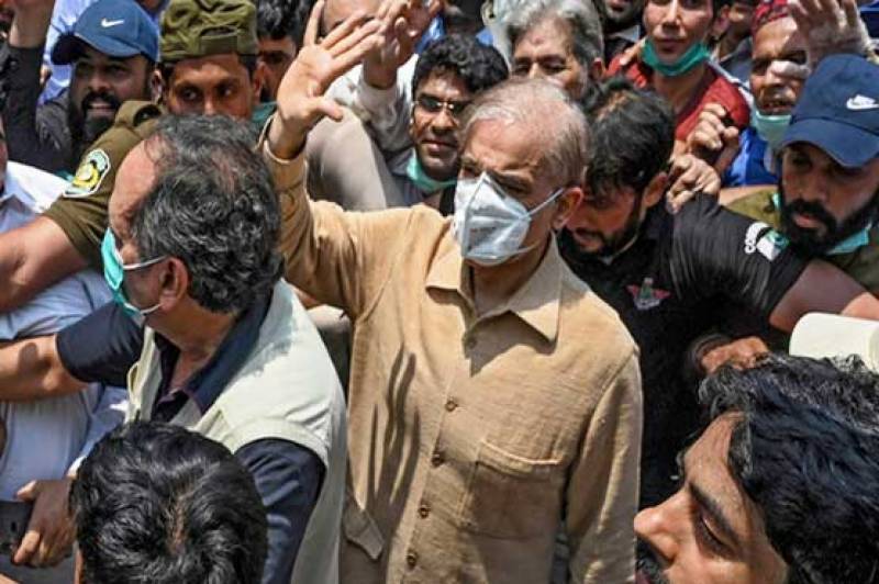 Money laundering case: LHC grants bail to Shehbaz Sharif 