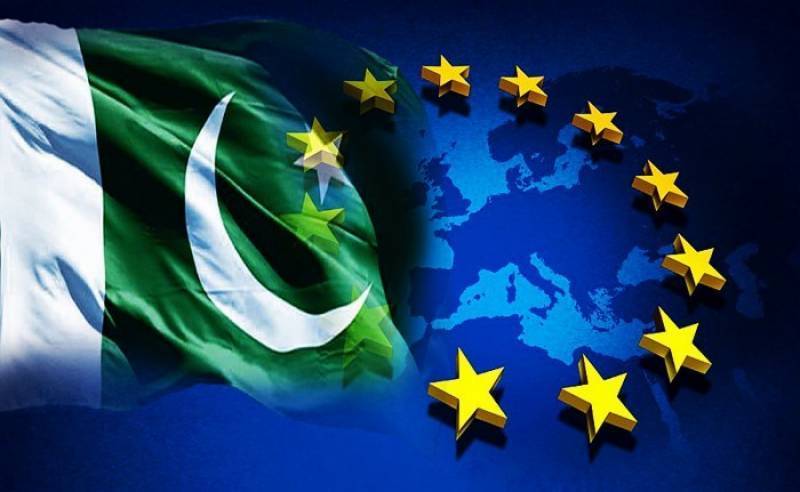 eu parliament, resolution, pakistan, gsp , status, neo tv