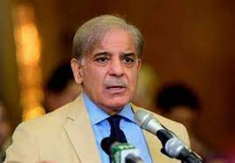nab, shehbaz sharif, bail, court, lhc, neo tv